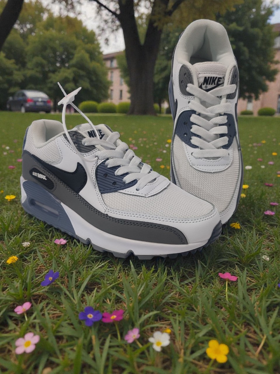 Nike Air max (good)