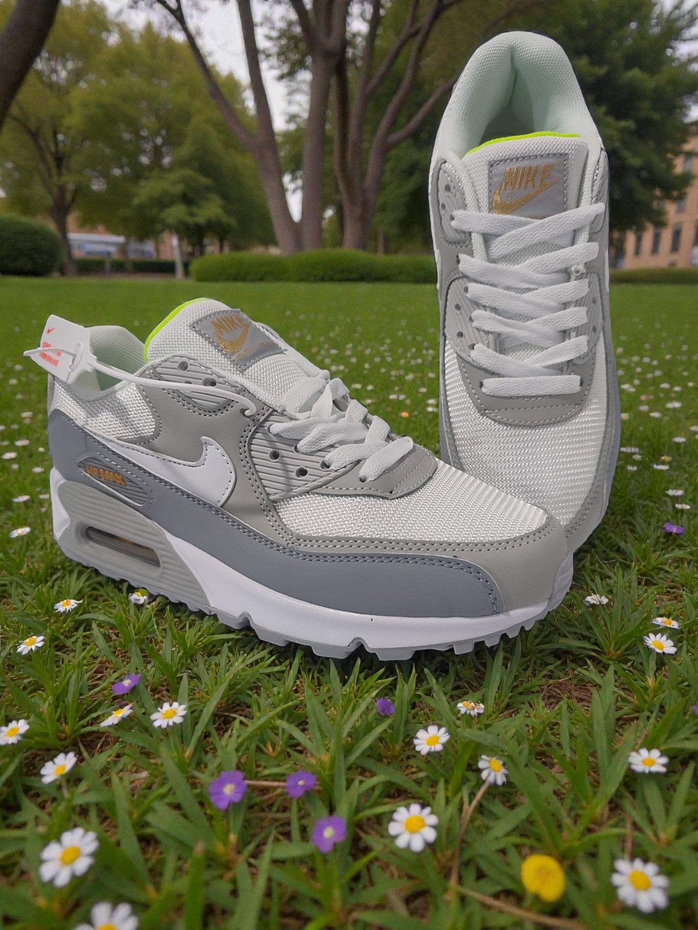 Nike Air max (good)